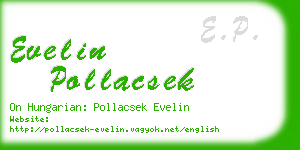 evelin pollacsek business card